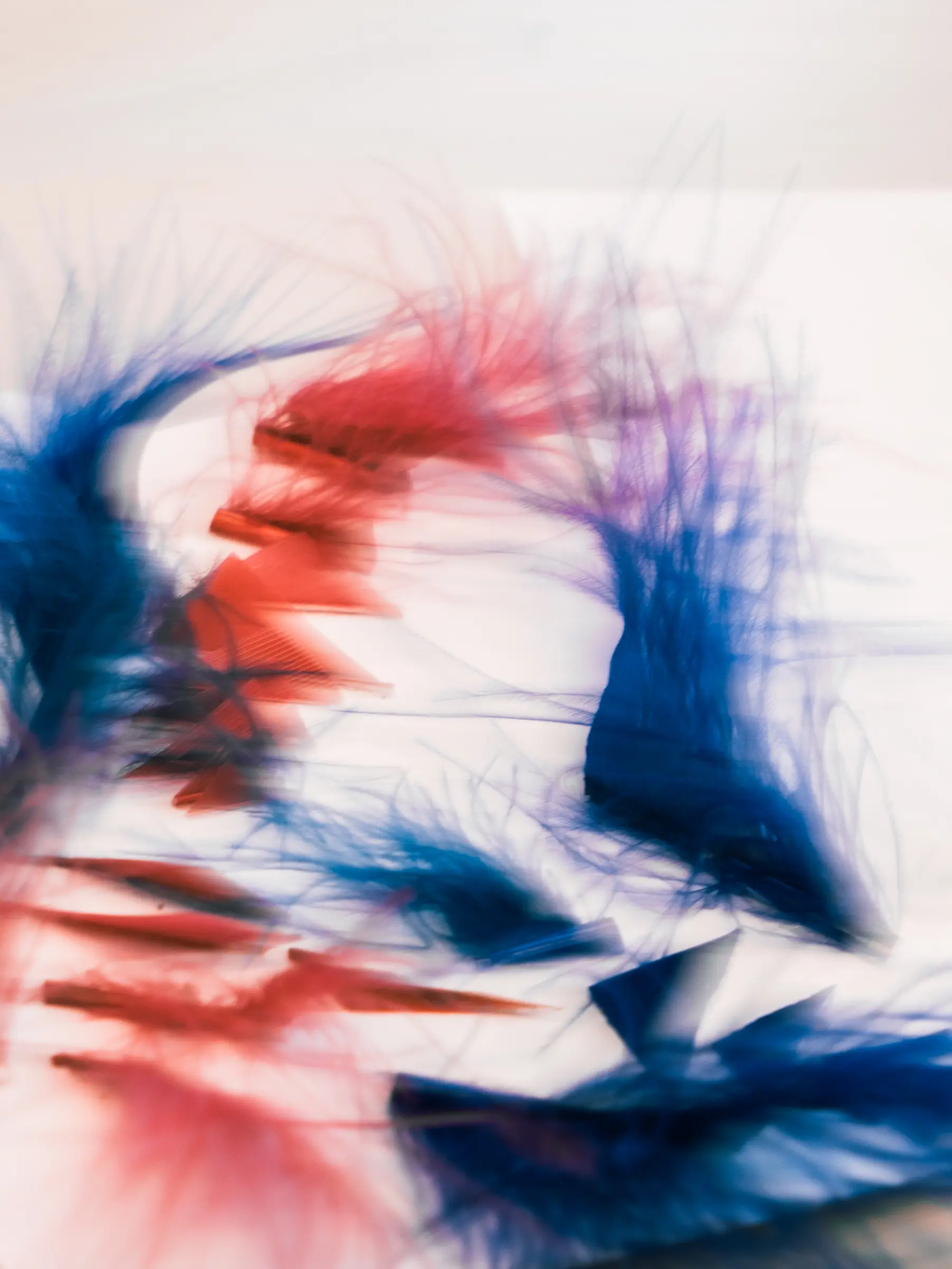 PORTRAITS D'ARTISTES